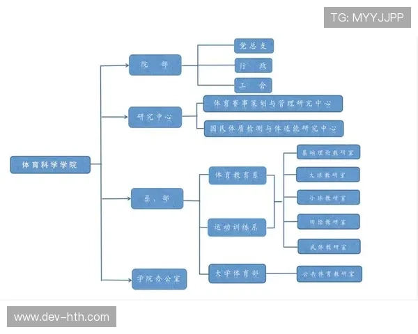场馆与体育培训协同发展,青少年体育服务供给增加